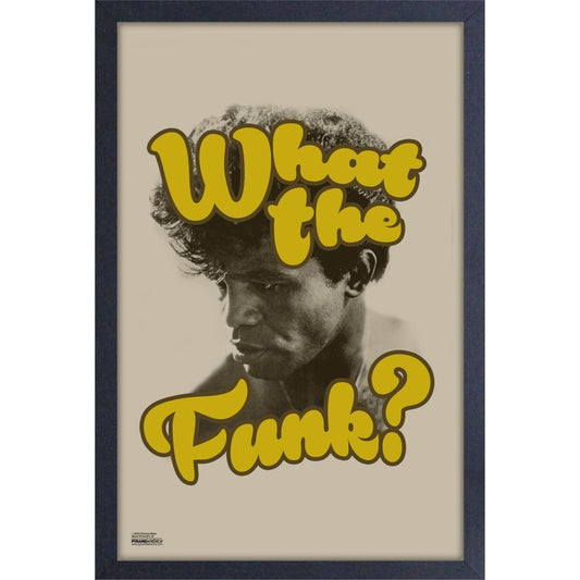 James Brown What the Funk 11x17 Framed Print