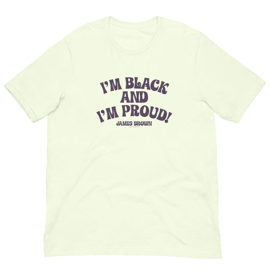I'm Black and I'm Proud T-Shirt