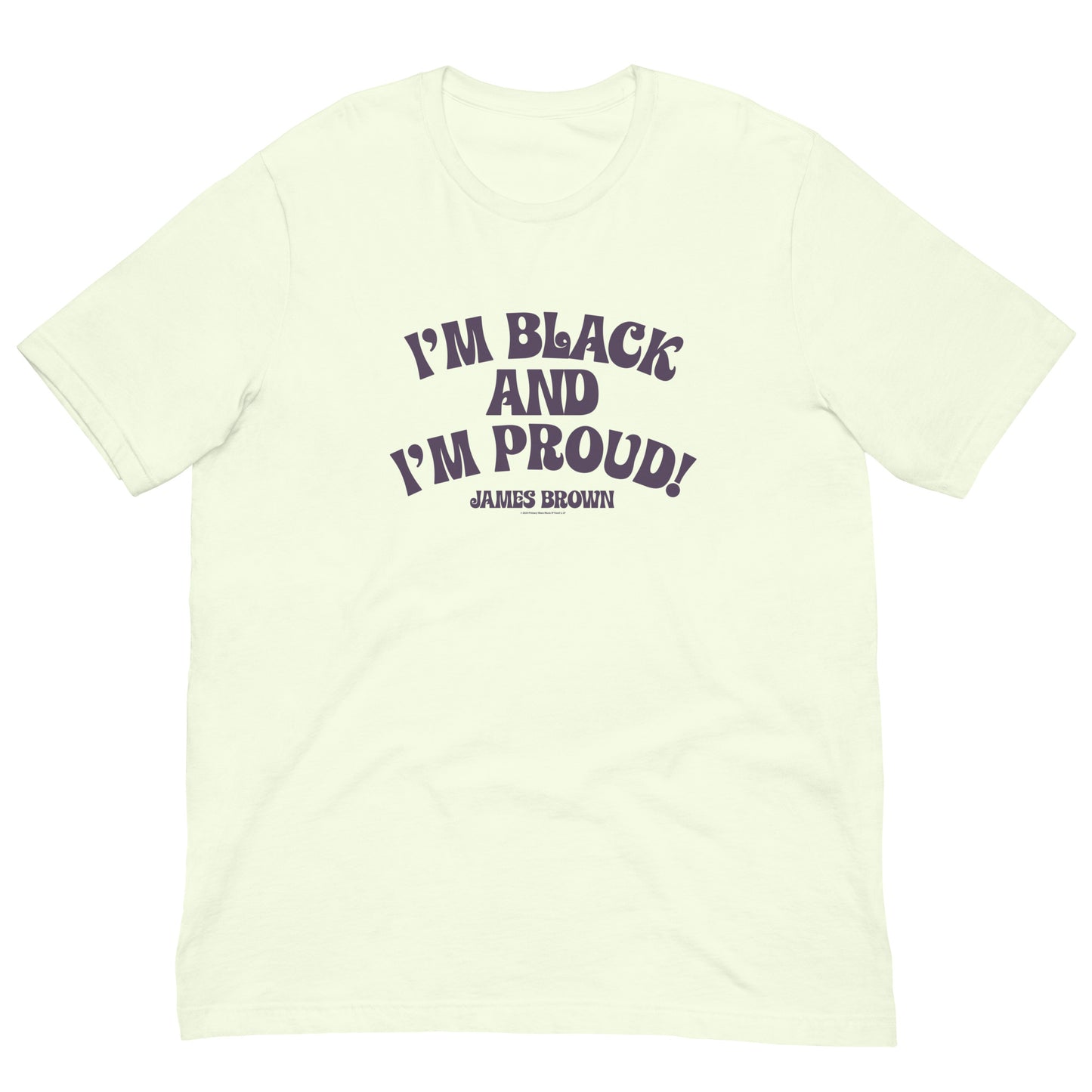 I'm Black and I'm Proud T-Shirt